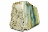 Free-Standing, Gary Green Jasper (Larsonite) Bog Wood - Oregon #334731-1